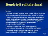 Interpretacija (skaidrės) 11 puslapis