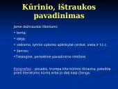 Interpretacija (skaidrės) 13 puslapis