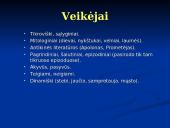Interpretacija (skaidrės) 17 puslapis