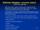Interpretacija (skaidrės) 3 puslapis