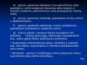 Interpretacija (skaidrės) 8 puslapis
