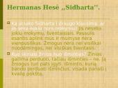 Išmintis literatūroje 11 puslapis