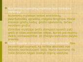 Išmintis literatūroje 15 puslapis