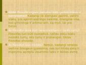 Išmintis literatūroje 16 puslapis