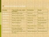 Išmintis literatūroje 19 puslapis