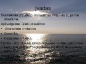 Jūrinio draudimo ypatumai. Pasaulinės praktikos įvertinimas 2 puslapis