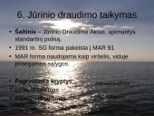 Jūrinio draudimo ypatumai. Pasaulinės praktikos įvertinimas 11 puslapis