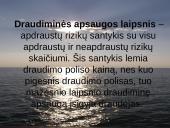 Jūrinio draudimo ypatumai. Pasaulinės praktikos įvertinimas 13 puslapis