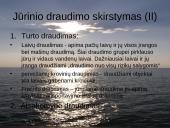 Jūrinio draudimo ypatumai. Pasaulinės praktikos įvertinimas 14 puslapis