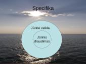 Jūrinio draudimo ypatumai. Pasaulinės praktikos įvertinimas 5 puslapis