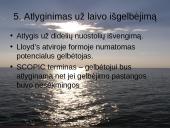 Jūrinio draudimo ypatumai. Pasaulinės praktikos įvertinimas 10 puslapis