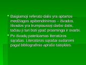 Ką ir kaip mes rašome 10 puslapis