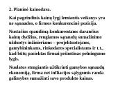 Kainodaros analizė 12 puslapis