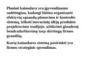 Kainodaros analizė 13 puslapis