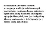 Kainodaros analizė 14 puslapis