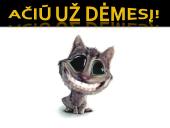 Kandidato pasiruošimas pokalbiui dėl darbo 12 puslapis