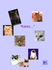 Pirmosios katės bei kačių kalba 1 puslapis