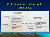Kraštovaizdis ir jo klasifikacija 11 puslapis