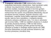 Krovinio pervežimas: Baltarusija, Baranavikai - Vokietija, Dortmundas 12 puslapis