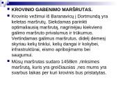 Krovinio pervežimas: Baltarusija, Baranavikai - Vokietija, Dortmundas 19 puslapis