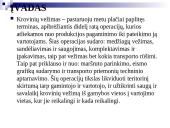 Krovinio pervežimas: Baltarusija, Baranavikai - Vokietija, Dortmundas 3 puslapis