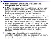 Krovinio pervežimas: Baltarusija, Baranavikai - Vokietija, Dortmundas 7 puslapis