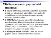 Krovinio pervežimas: Baltarusija, Baranavikai - Vokietija, Dortmundas 8 puslapis