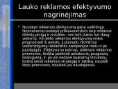 Lauko reklamos esmė ir tikslas 13 puslapis