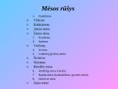 Mėsos rinka 11 puslapis