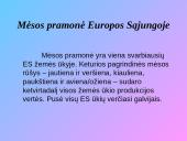 Mėsos rinka 12 puslapis