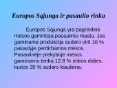 Mėsos rinka 13 puslapis