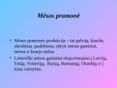 Mėsos rinka 7 puslapis