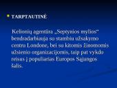 Mikroaplinkos ir makroaplinkos analizė: turizmo agentūra UAB "Septynios mylios" 14 puslapis