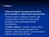 Mikroaplinkos ir makroaplinkos analizė: turizmo agentūra UAB "Septynios mylios" 7 puslapis