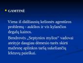 Mikroaplinkos ir makroaplinkos analizė: turizmo agentūra UAB "Septynios mylios" 10 puslapis