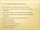 Ne gyvybės draudimo produktų įvairovės analizė Lietuvoje (2001-2006 metais) 5 puslapis