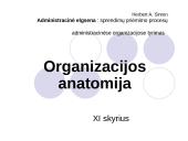 Organizacijos anatomija