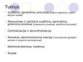 Organizacijos anatomija 2 puslapis
