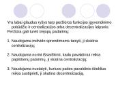 Organizacijos anatomija 11 puslapis