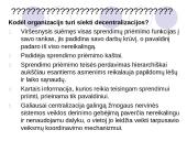 Organizacijos anatomija 12 puslapis