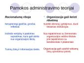 Organizacijos anatomija 13 puslapis