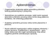 Organizacijos anatomija 16 puslapis