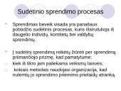 Organizacijos anatomija 3 puslapis