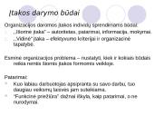 Organizacijos anatomija 5 puslapis