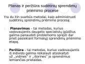 Organizacijos anatomija 6 puslapis