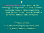 Įmonių ir organizacijų kultūra 2 puslapis