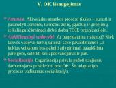 Įmonių ir organizacijų kultūra 11 puslapis