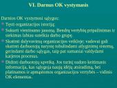 Įmonių ir organizacijų kultūra 12 puslapis