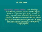 Įmonių ir organizacijų kultūra 13 puslapis