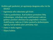 Įmonių ir organizacijų kultūra 14 puslapis